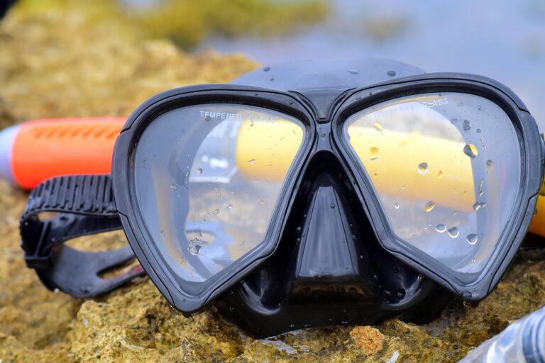 swimming goggles, dive, nature-2390950.jpg