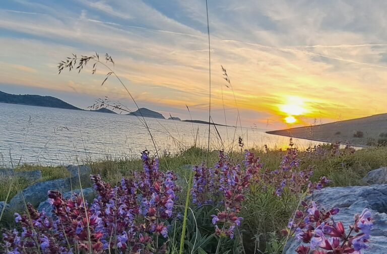 sweetness of doing nothing in Kornati Archipelago_Sunset, sage, calm sea.